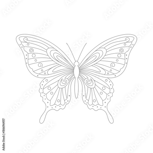 A delicate butterfly with intricate line art designs on its wings