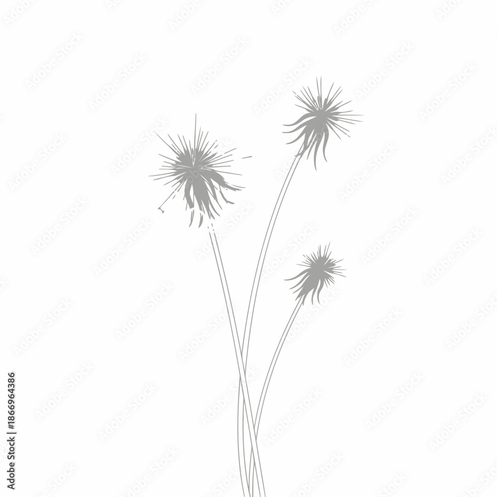 custom made wallpaper toronto digitalA minimalist line drawing of three dandelion flowers