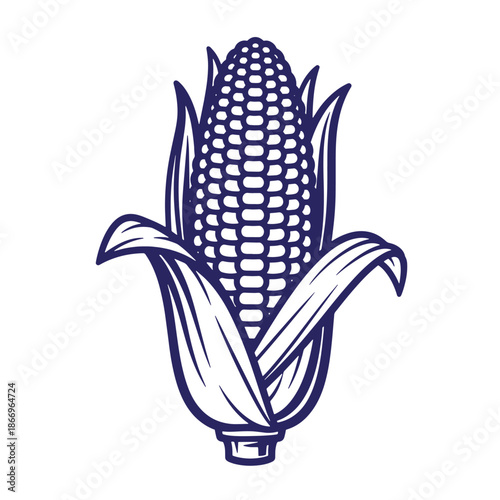 Illustration of a single ear of corn with leaves isolated on white background