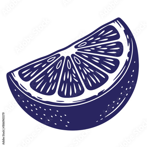 Illustration of a slice of lemon with a vintage aesthetic  a single wedge of citrus fruit in a classic drawing style
