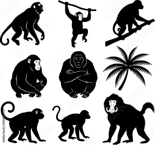 Monkey and primate silhouettes set with chimpanzee, baboon and palm tree