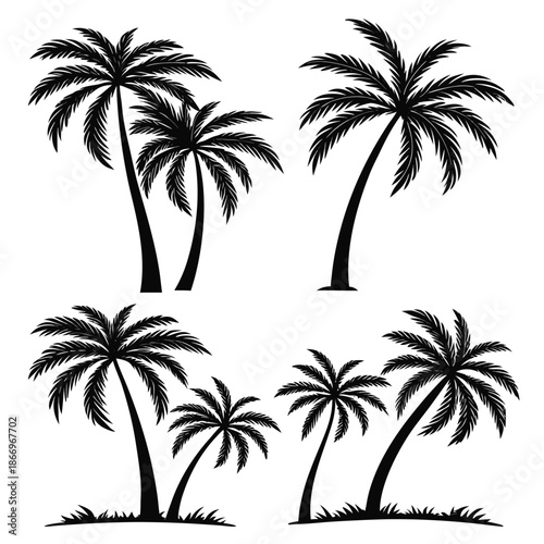 Six black palm tree silhouettes on white background, tropical plants with grass