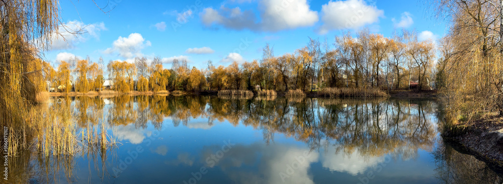 Fototapeta premium A lake with trees in the background