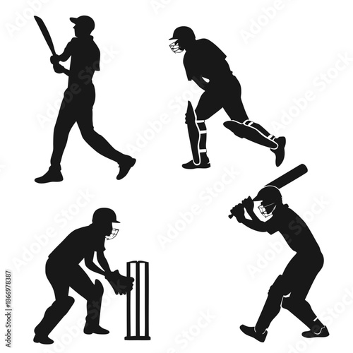 Cricket players in action