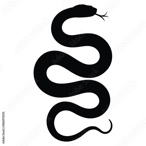 snake vector illustration