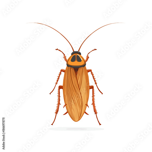 Minimal 2D vector illustration of Cockroach in flat icon style on a plain white background.