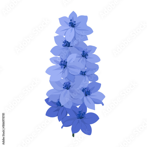 Delphinium, 2D flat vector illustration, simple and modern style, isolated on a plain white background.