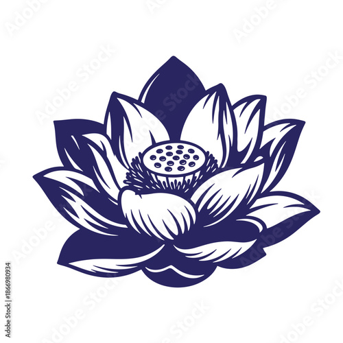 navy blue lotus flower with white petals and seed pod on white background