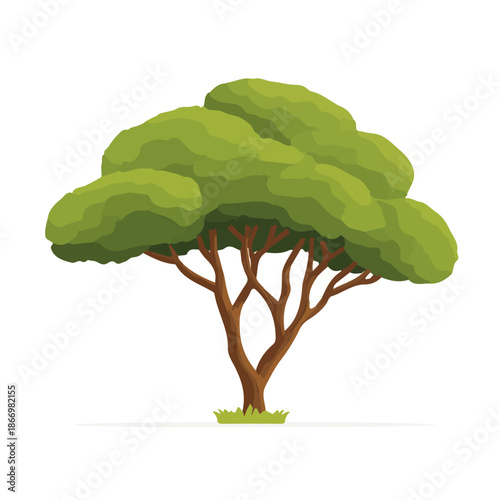 Teak Tree in a clean 2D flat vector icon style, minimal and simple, set on a plain white background.