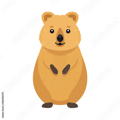 Simple flat 2D vector graphic of Quokka, modern icon look, displayed on a pure white background.