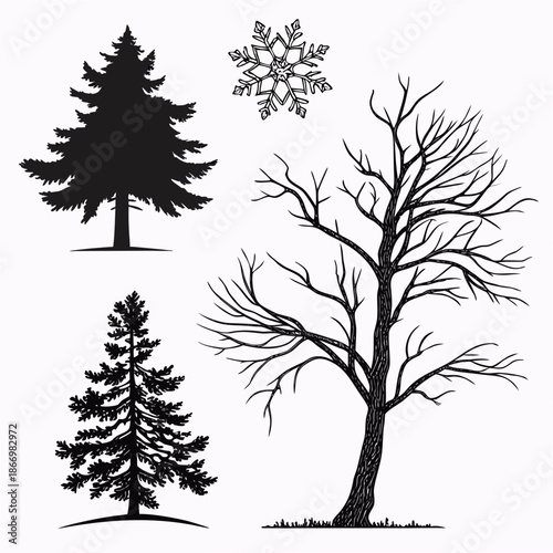 Winter trees illustration