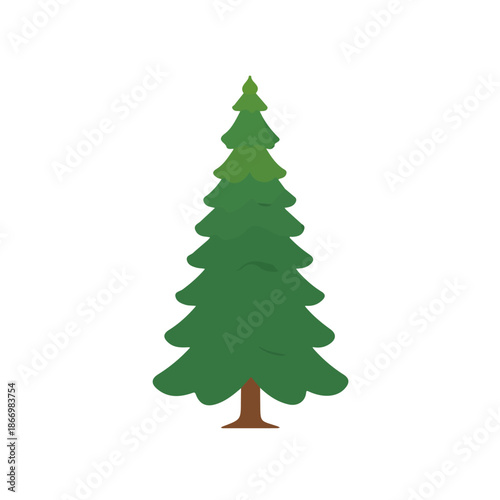 Simple flat 2D vector graphic of Chinese Fir Tree, modern icon look, displayed on a pure white background.