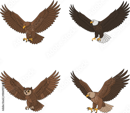 Flying eagle character set in different poses, majestic bird of prey illustration isolated on white background