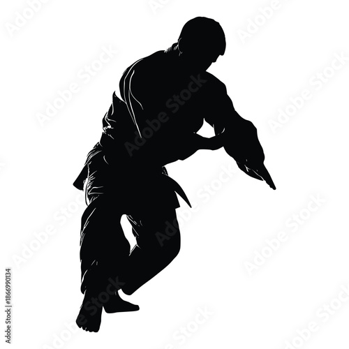 Silhouette of Martial Artist Performing Pose