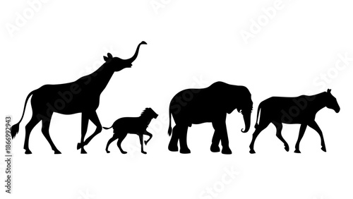Wildlife silhouette