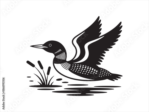 Vector bird loon fly wildlife animal drawing icon silhouette