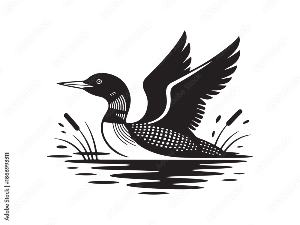 Obraz premium Flying Loon Water silhouette, Duck or loon silhouette vector art, Duck or loon vector icon design