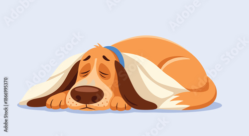 Sad looking brown dog with long ears lying down and sleeping under a cozy white blanket on a soft blue background.
