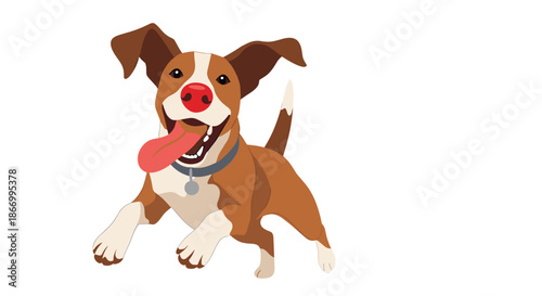 Brown and white dog jumping excitedly with its long pink tongue hanging out and ears flying in the air on a white background.