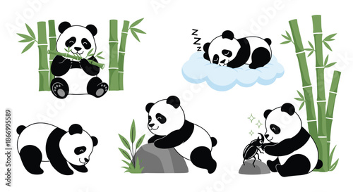 Collection of cute giant panda illustrations showing the animal eating bamboo, sleeping on a cloud, and playing in nature.
