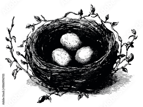 Vintage hand drawn illustration of a bird's nest depicting three eggs for nature concepts