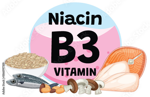 Vitamin B3 Niacin Rich Foods Vector Illustration