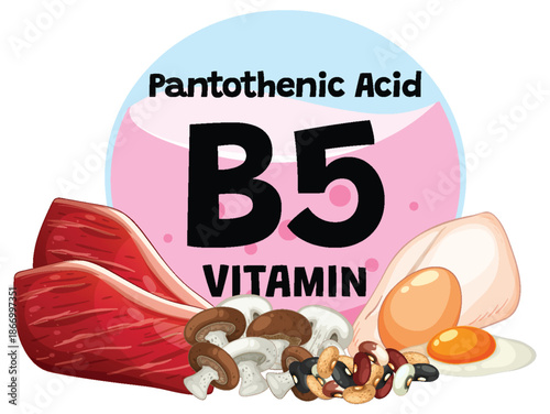 Vitamin B5 Food Sources with Meat, Eggs, and Mushrooms