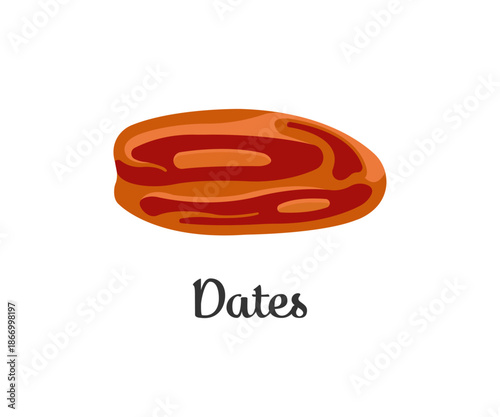Single Dried Date Fruit  Flat Vector Food Illustration
