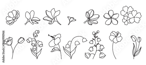 minimal line flower and botanical graphic sketch drawing, trendy tiny tattoo design, floral elements vector illustration
