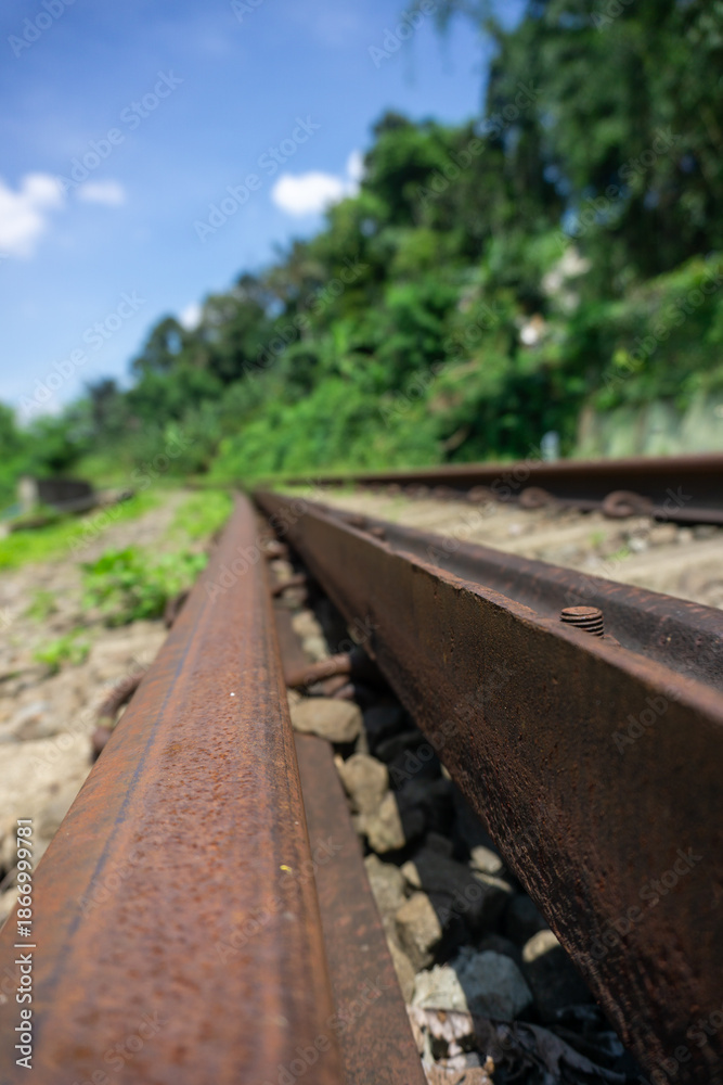Obraz premium A dramatic, low-angle shot of rusty railway tracks, leading toward a lush, out-of-focus background of tropical trees (likely Ficus or Mangifera species) under a bright blue sky.