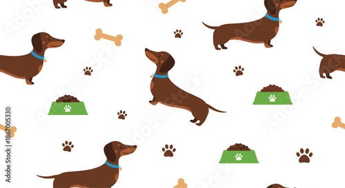 Seamless pattern with cute brown dachshund dogs bones paw prints and green food bowls on a white vector background.