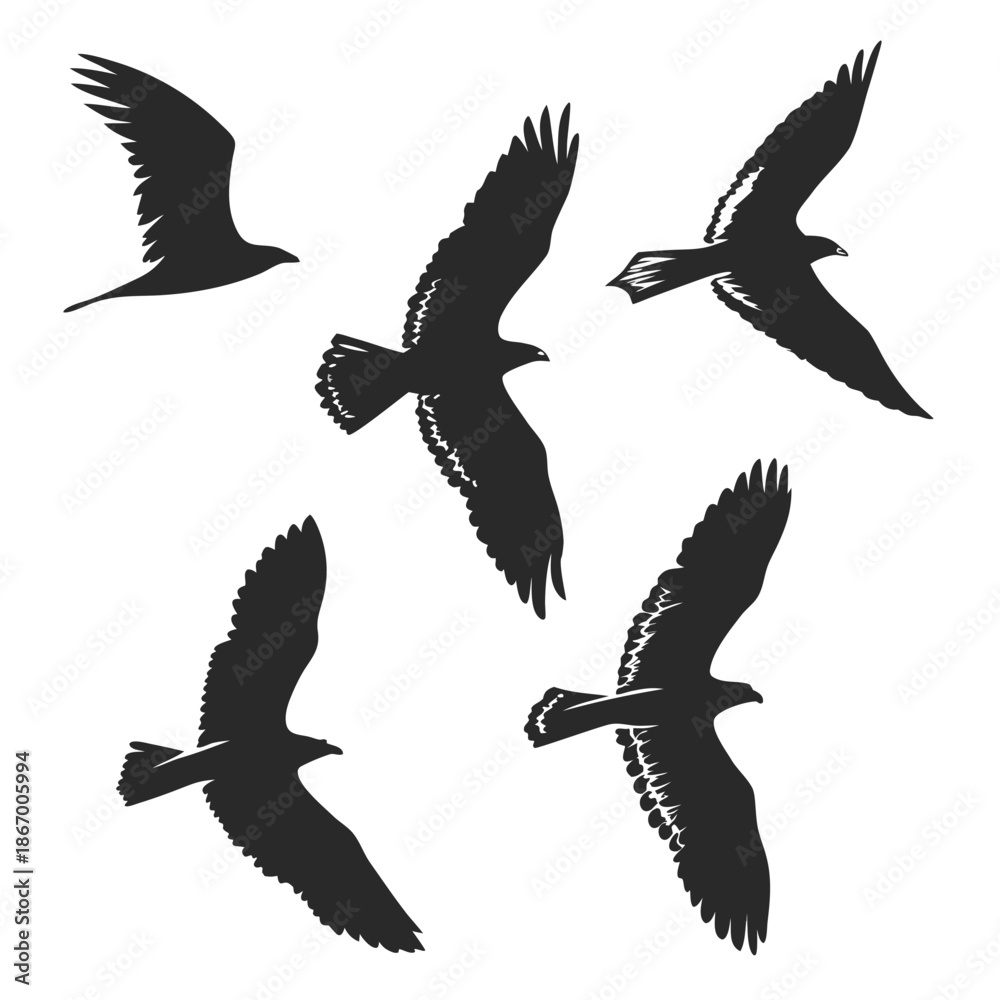 Fototapeta premium Silhouettes of birds in flight