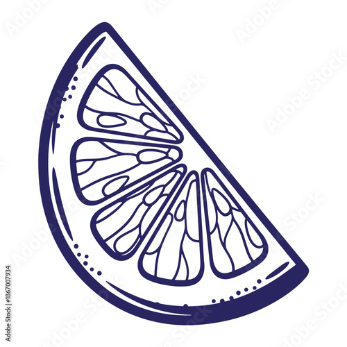 navy blue line art of a slice of citrus fruit with segments and peel on white background  a stylized illustration