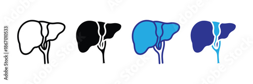 Vector illustration icon liver anatomy illustrations in various colors on set icon isolated on
