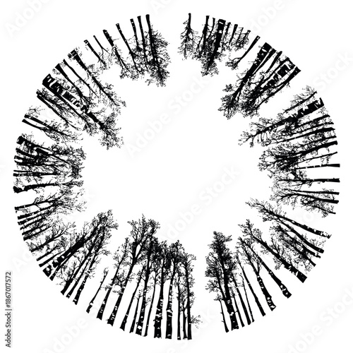 Hand drawn line art illustration of a forest canopy depicting a circular frame for nature design