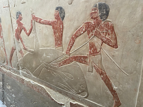 Fotografie Necropolis de Sakkara