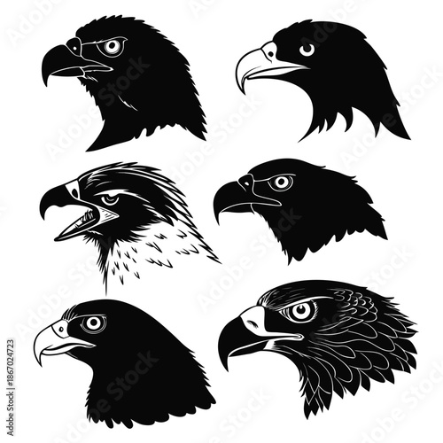Collection of eagle heads