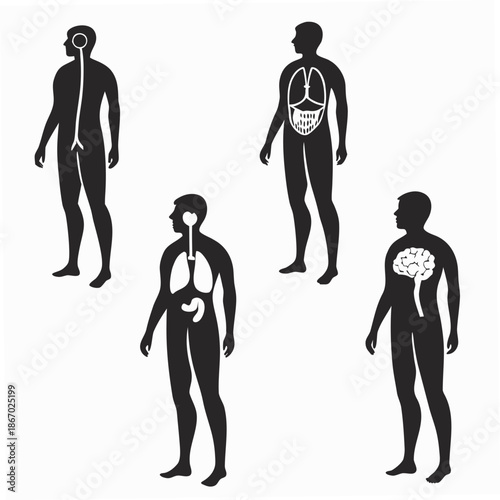 Silhouettes of human figures with internal organs
