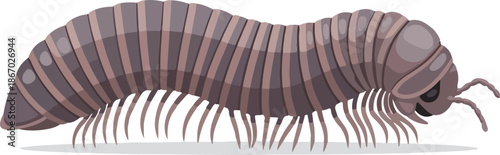 Millipede Illustration A Detailed Digital Representation of a Segmented Arthropod Creature in Profile
