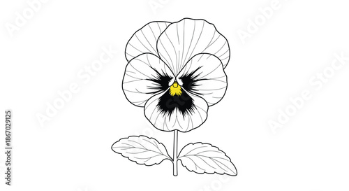 Botanical line art illustration of a single pansy flower featuring delicate petals and a vibrant yellow center against a clean white background.