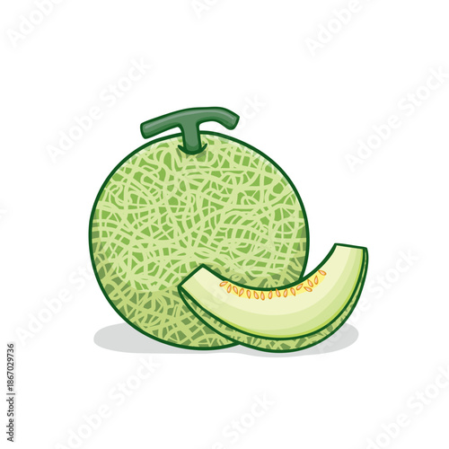 Fresh Green Cantaloupe and a Juicy Slice