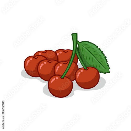 Bunch of Fresh Red Cherries with Green Leaf