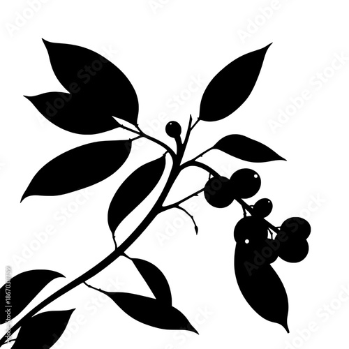 Stylized Coffee Plant Silhouette