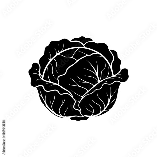 A simple black and white illustration of a cabbage on a plain background