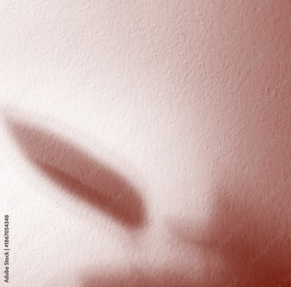 Fototapeta premium Wall shadow pink premium gradation background texture blur gradient light pastel abstract luxury premium mockup peach color backdrop template valentine summer spring overlay mockup for presentation