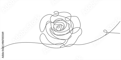 A beautiful minimalist single continuous line drawing capturing the essence of a rose flower in bloom Vector, illustration
