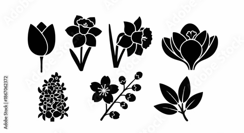 Collection of Hand-Drawn Minimalist Spring Flower Sketches Including Tulips Daffodils and Hyacinths