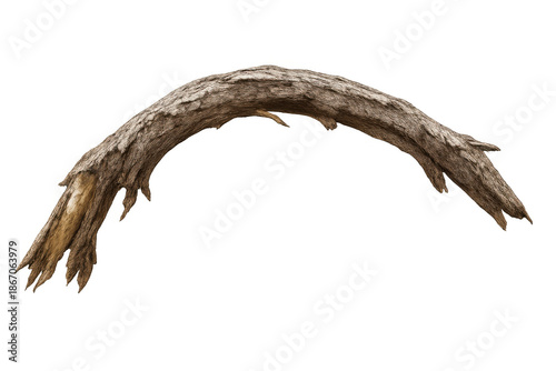 Curved dry tree branch with weathered bark, organic arc shape, and old wood texture on a transparent background