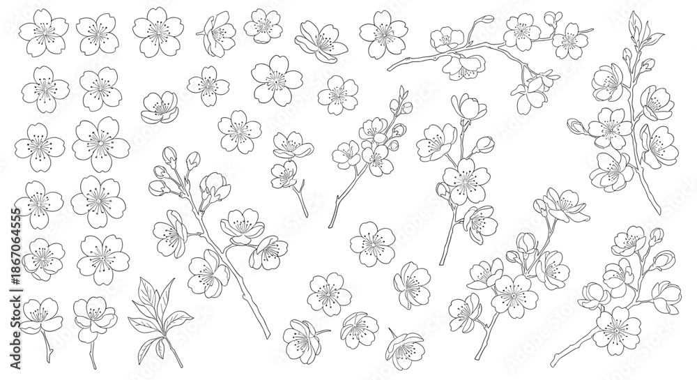 Fototapeta premium Comprehensive set of hand-drawn cherry blossom floral elements including individual flowers and branches for versatile botanical design projects.