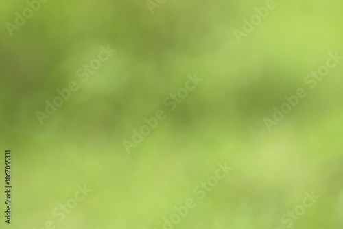 Tableau sur toile Abstract blurry green foliage background with soft natural bokeh light texture